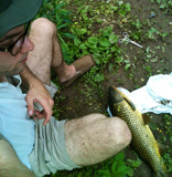 Mike P's Photo