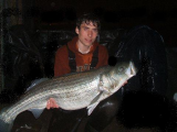 chris's Photo