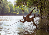 Fellman's Photo