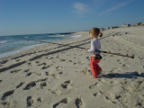 Jamie's Photo