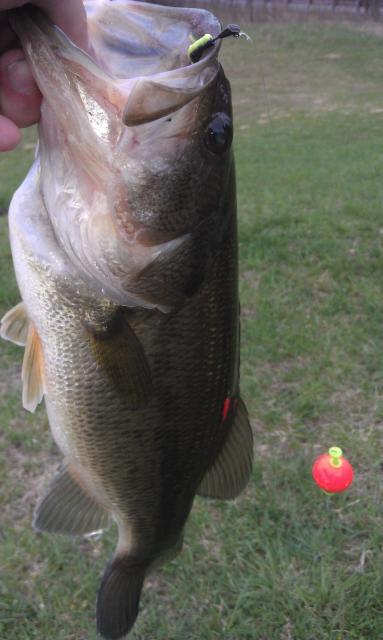 IMAG0178.jpg
