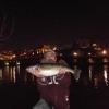 Dirty Byrd's Photo