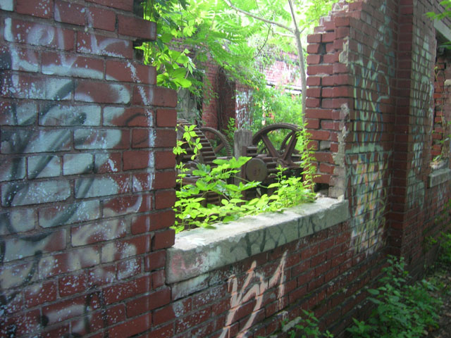 Posted Image